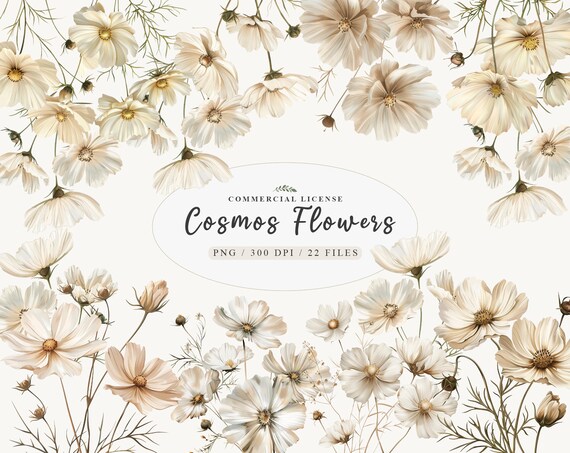 White cosmos flower clipart, October birth flower, Cosmos flower png, White wildflower bouquets clipart, Wedding Floral wreath png,