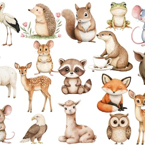 May include: A collection of watercolor illustrations featuring various animals, including a deer, a fox, a raccoon, a hedgehog, a frog, a pig, a llama, an owl, a mouse, a squirrel, a bird, and a otter. The illustrations are painted in a whimsical style with bright colors.