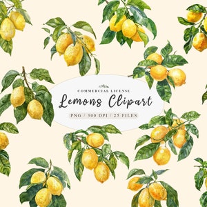 Aquarell Zitrusfrüchte Clipart Bundle, Frische Zitrone Element Malerei, Aquarell Obst PNG, Lebendige Zitrone Clipart Set Bundle