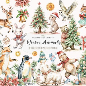 Winter Wonderland pooldieren clipartbundel, ijsbeer, rendier, pinguïn, schattige bosillustraties, grillige pooldieren clipart
