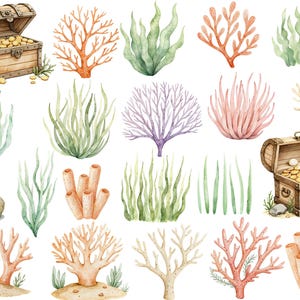 May include: Watercolor illustrations of various sea life, including coral, seaweed, and a treasure chest filled with gold coins. The illustrations are painted in a realistic style with vibrant colors.