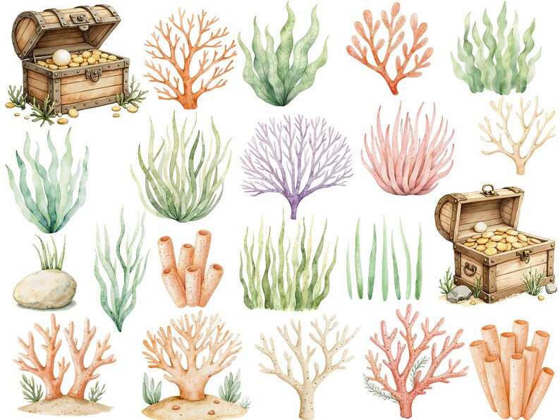 May include: Watercolor illustrations of various sea life, including coral, seaweed, and a treasure chest filled with gold coins. The illustrations are painted in a realistic style with vibrant colors.