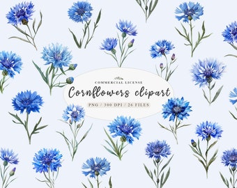 Watercolor Cornflower clipart, Blue Flowers Images clipart, field Blue Cornflowers clipart, wildflower meadow clipart, Free commercial use