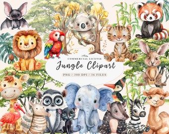 Baby safari png, Baby jungle animal, Baby Safari animal png, Giraffe, tiger, monkey clipart, Jungle baby shower, Safari clipart, Boho baby