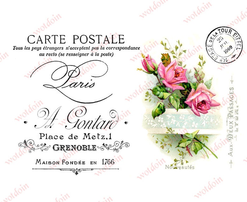 Printable Pink Roses French Handwriting Carte Postale Paris Etsy