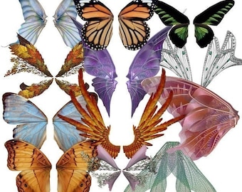 Butterfly Fairy Wings Digital Collage Sheet Blues Pinks Orange Purple Wings Vol 2 Altered Art Scrapbooks Instant Download