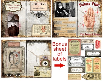 Fortune Teller Strega Halloween Journal pagine Download digitale stampabile indesiderata Gazzetta progetto vita libro Smash chiromanzia Apothecary etichette