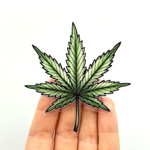 Peut inclure: Un autocollant en forme de feuille de cannabis verte avec un contour détaillé. L'autocollant est sur un fond transparent et est tenu dans une main.