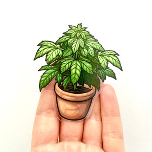 Marihuana Pflanze Aufkleber Unkraut Aufkleber Stoner Aufkleber Spliff Aufkleber Wasserflasche Aufkleber Stoner Aufkleber Rauchen Aufkleber