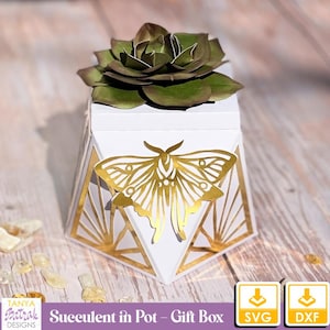 Puede incluir: Una caja de regalo geométrica blanca con un diseño geométrico dorado y una mariposa dorada. La caja está coronada con una planta suculenta verde.