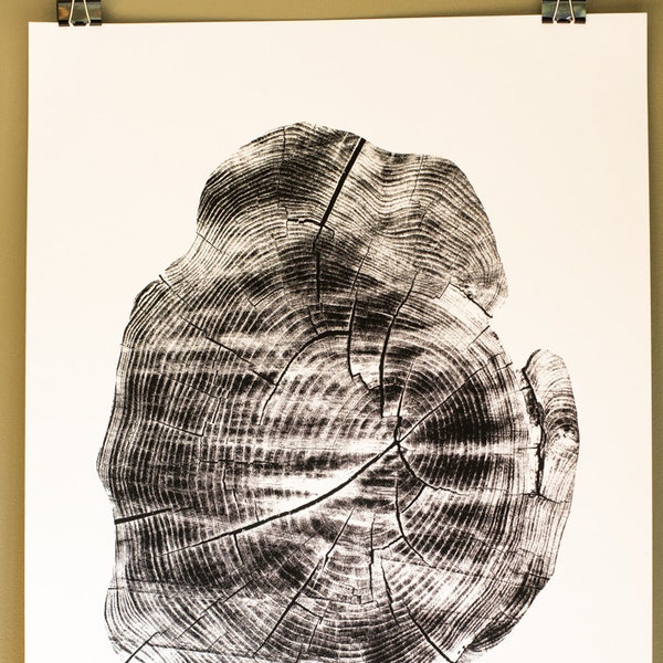 Tree Stump Tree Rings Large Screen Print 18 x 24