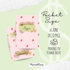 Bolso || Junho de 2025 || Dollar Deco || Duas páginas de planejador, para impressão, download digital