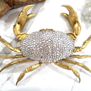 Carribean King Crab Large (CHANNEL CRAB, Spider Crab, Coral Crab