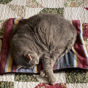 Self Heating Pet Mat