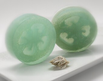 The Pomona Avocado Glycerin Loofah Squash Soap