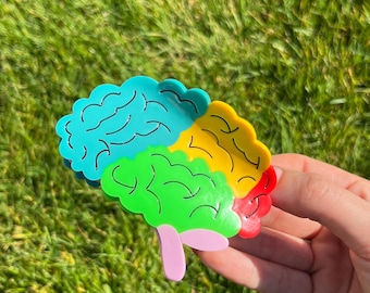 Brain Hair Claw: Colorful Anatomy Gift for Doctors & Nurses