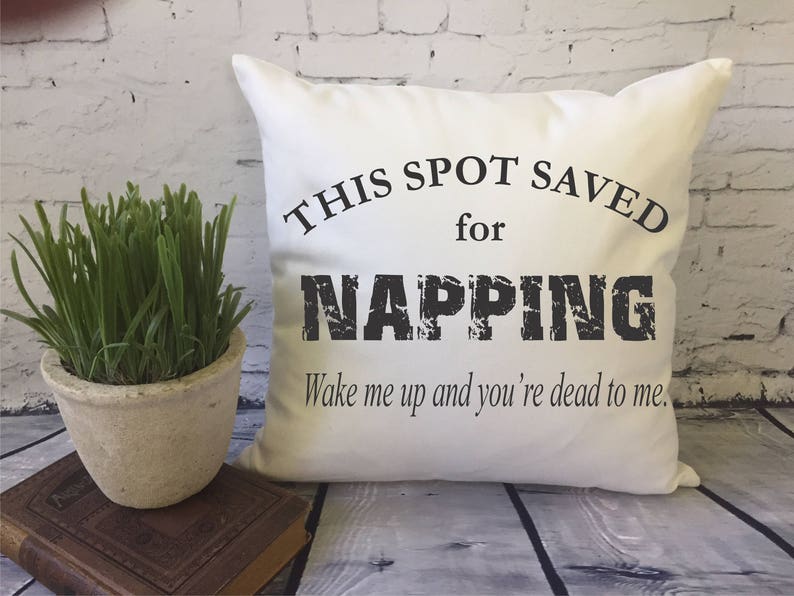 Funny Napping Throw Pillow/ Decorative Pillow Cover/ Spot Etsy