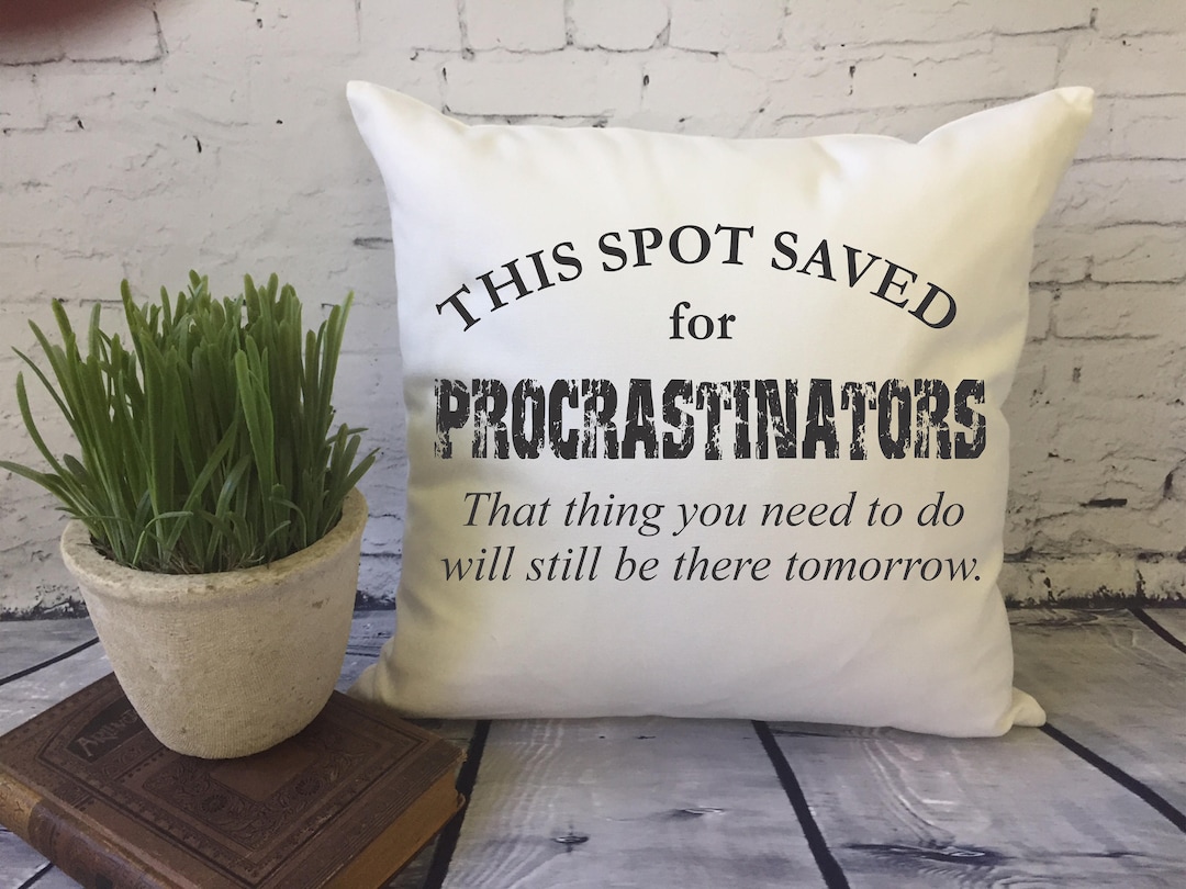 Funny Throw Pillow/ Decorative Pillow Cover/ Spot Saver Pillow/ Funny