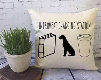 funny introvert quote throw pillow/ introvert gift/ introvert charging station pillow, book lover dog lover coffee lover gift