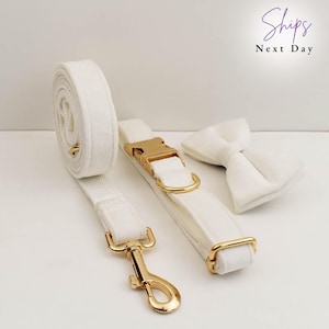 Engraved white Velvet Personalized Dog wedding Collar Leash Set, white velvet bowtie collar, Wedding dog, dog gift, velvet dog collar set