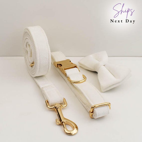 Personalized White Velvet Dog Collar Leash Set: Engraved Bowtie, Wedding Outfit, custom dog collar, luxury dog collar and leash set, gift