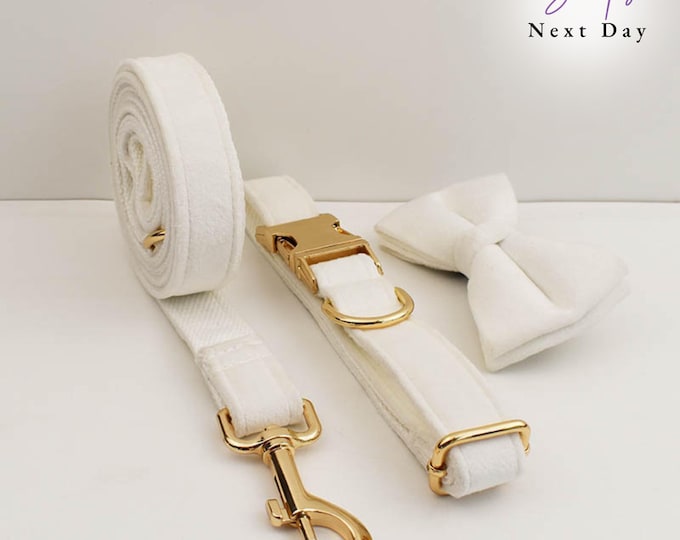 Personalized White Velvet Dog Collar Leash Set: Engraved Bowtie, Wedding Outfit, custom dog collar, luxury dog collar and leash set, gift