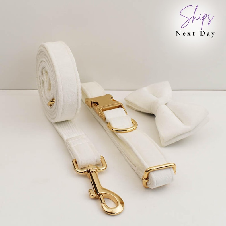 Personalized White Velvet Dog Collar Leash Set: Engraved Bowtie, Wedding Outfit
dog collar, dog collar girl, puppy collar, dog collar boy, dog collar small, velvet collar, personalised collar, dog collar lead, collar phone number, dog collar medium, solid dog collar, dog wedding, engraved collar
Velvet, Metal Buckle, Cotton Lining, Bow Tie, leash, poop bag, metal clasp, engraved collar. 
https://copperhoundengraving.etsy.com