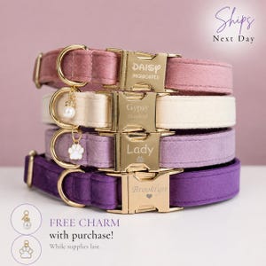 May include: A stack of four velvet pet collars in dusty rose, cream, lavender, and deep purple. Each collar features a gold-tone metal side-release buckle engraved with names and the text Microchiped, plus a gold D-ring with a dangling charm.