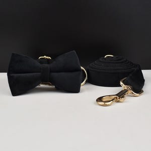 Op de afbeelding: Een zwarte fluwelen hondenhalsband met een vlinderdas, een bijpassende riem en goudkleurige hardware. De riem is opgerold en de vlinderdas is gecentreerd op de halsband. De set is voor huisdieren.