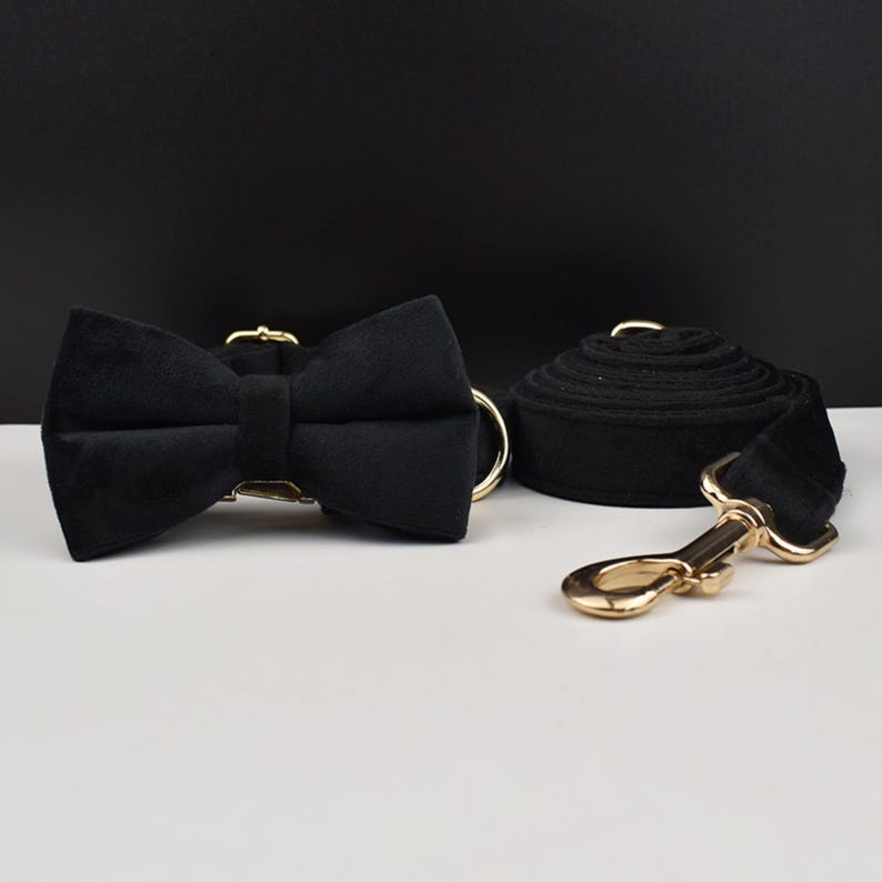 Op de afbeelding: Een zwarte fluwelen hondenhalsband met een vlinderdas, een bijpassende riem en goudkleurige hardware. De riem is opgerold en de vlinderdas is gecentreerd op de halsband. De set is voor huisdieren.