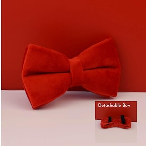 Pu&ograve; includere: Un papillon di velluto rosso con un fiocco staccabile. Il papillon &egrave; su uno sfondo rosso e il fiocco staccabile &egrave; su uno sfondo bianco.