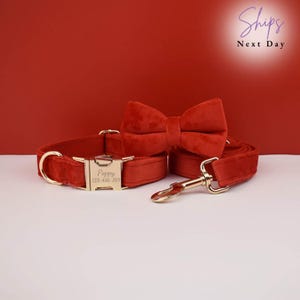 Personalized White Velvet Dog Collar Leash Set: Engraved Bowtie, Wedding Outfit. dog collar, dog collar girl, puppy collar, dog collar boy, dog collar small, velvet collar, personalised collar, dog collar lead, collar phone number, dog collar medium, solid dog collar, dog wedding, engraved collar
Velvet, Metal Buckle, Cotton Lining, Bow Tie, leash, poop bag, metal clasp, engraved collar. dog gift, free dog collar charm with purchase. Gift idea for dog lover. https://copperhoundengraving.etsy.com