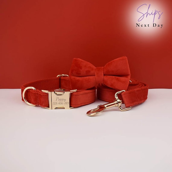 Personalized White Velvet Dog Collar Leash Set: Engraved Bowtie, Wedding Outfit, velvet dog collar, puppy, dog Christmas gift, red collar