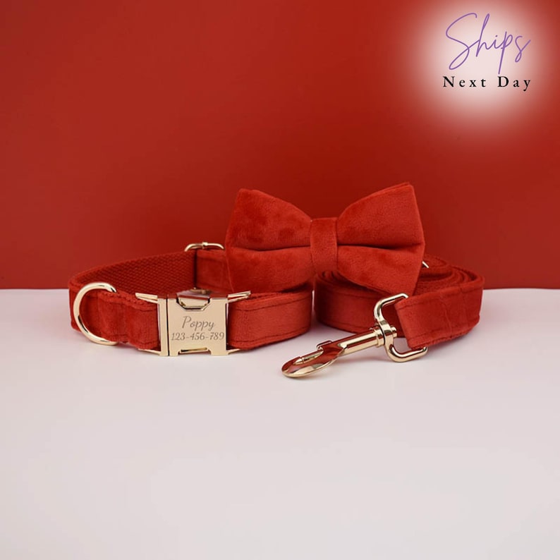 Personalized White Velvet Dog Collar Leash Set: Engraved Bowtie, Wedding Outfit. dog collar, dog collar girl, puppy collar, dog collar boy, dog collar small, velvet collar, personalised collar, dog collar lead, collar phone number, dog collar medium, solid dog collar, dog wedding, engraved collar
Velvet, Metal Buckle, Cotton Lining, Bow Tie, leash, poop bag, metal clasp, engraved collar. dog gift, free dog collar charm with purchase. Gift idea for dog lover. https://copperhoundengraving.etsy.com