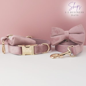 Collier de luxe pour chien, ensemble collier et laisse personnalisés avec nœud papillon, collier rose et violet, boucle en métal gravée au nom de l'animal, collier idéal comme cadeau de mariage