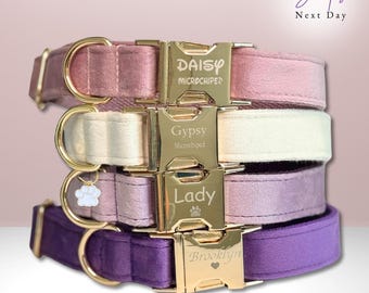 Multiple Color Velvet Personalized Dog Collar Leash Set,Brown+Grey+White, bowtie collar, dog collar tag, dog gift, velvet dog collar, puppy