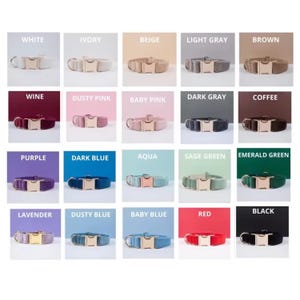 Pu&ograve; includere: Una collezione di 20 collari per cani in velluto di vari colori, tra cui bianco, avorio, beige, grigio chiaro, marrone, vino, rosa polvere, rosa baby, grigio scuro, caff&egrave;, viola, blu scuro, acquamarina, verde salvia, verde smeraldo, lavanda, blu polvere, blu baby, rosso e nero. Ogni collare ha una fibbia dorata.