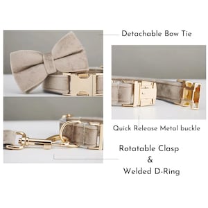Op de afbeelding: Hondenhalsband in beige met een afneembare vlinderdas, snelsluiting metalen gesp, draaibare sluiting en gelaste D-ring. De halsband en vlinderdas zijn gemaakt van een zacht, su&egrave;de-achtig materiaal. De metalen hardware is goudkleurig.
