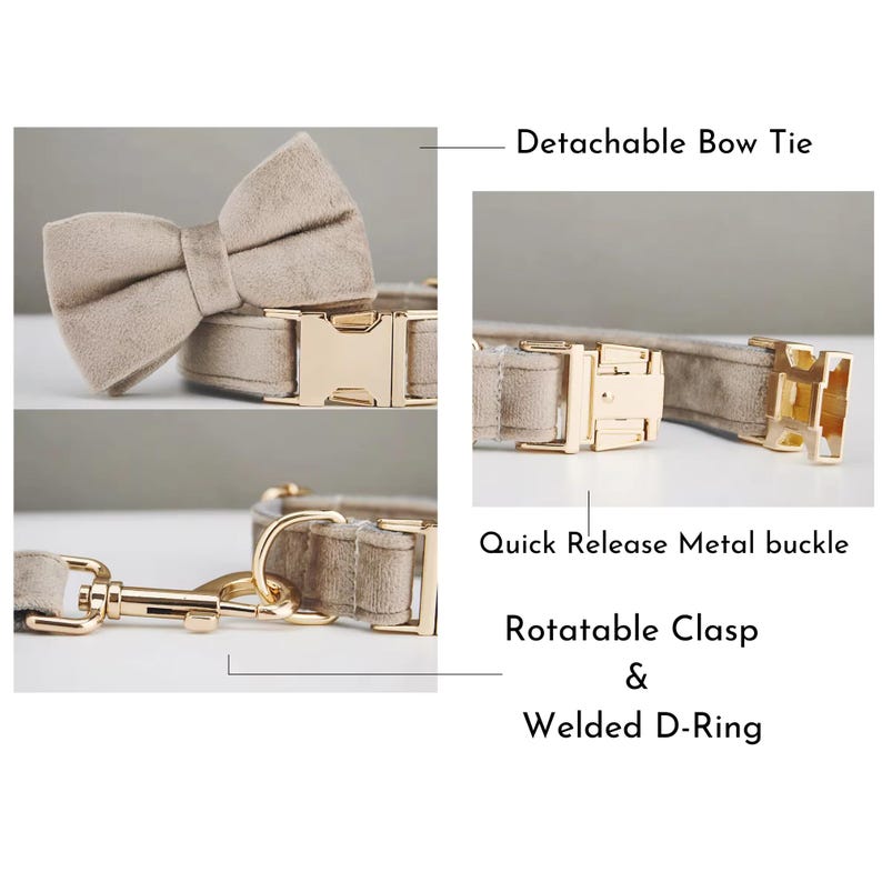 Op de afbeelding: Hondenhalsband in beige met een afneembare vlinderdas, snelsluiting metalen gesp, draaibare sluiting en gelaste D-ring. De halsband en vlinderdas zijn gemaakt van een zacht, su&egrave;de-achtig materiaal. De metalen hardware is goudkleurig.