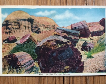 Antique Petrified Forest Postcard, Arizona Postcard, Petrified Wood, US National Park, Painted Desert, Vintage Postcard, Postmark