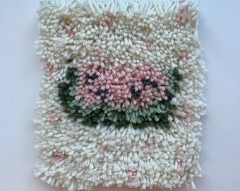 Watermeloen Klinkhaakset