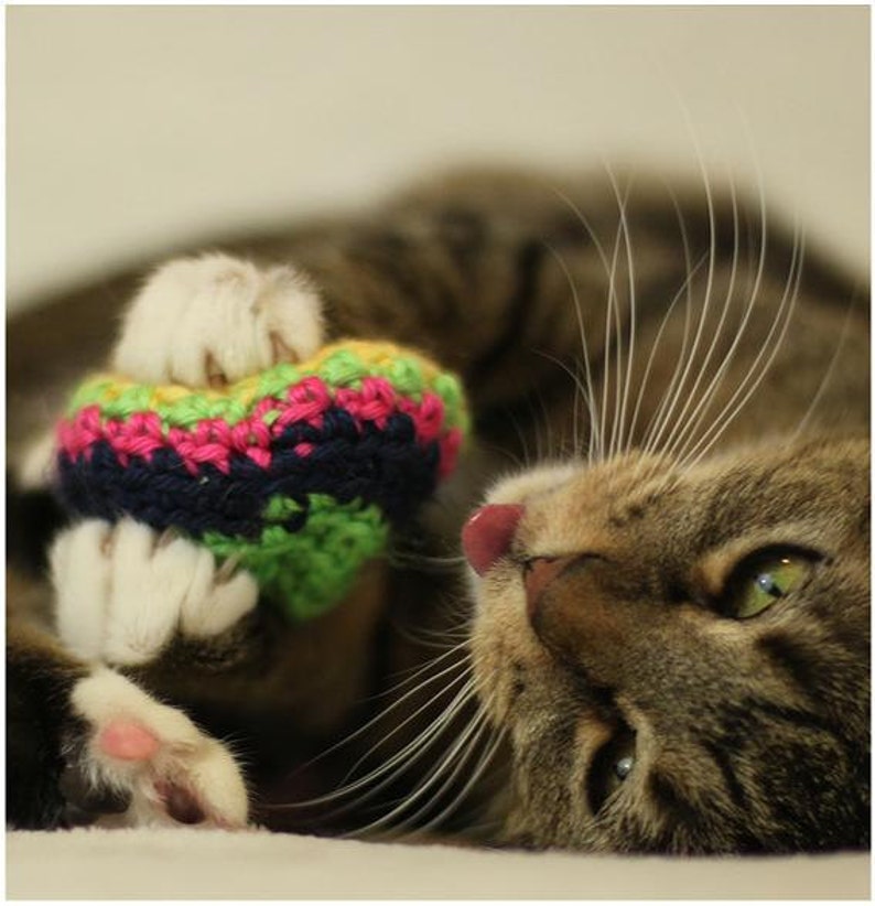 Sample Pack Catnip Cat Toys All Proceeds Donated image 2