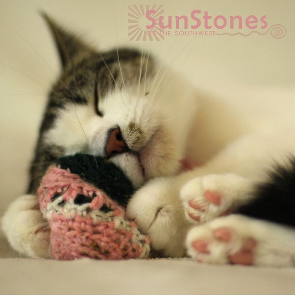Sample Pack Catnip Cat Toys - All Proceeds Donated