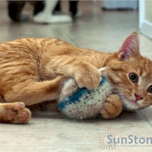 Luxury Catnip Cat Toys All Proceeds Donated image 3