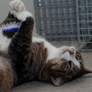 Catnip Cat Toys All Proceeds Donated Happy Cat Package image 4