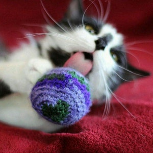 Catnip Cat Toys All Proceeds Donated Happy Cat Package image 1