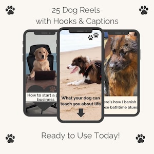 Dog Reels with Hooks & Captions, Adorable Pet Theme Videos for Instagram, Customise in Canva, MRR, PLR, TikTok, FB, YouTube, 100% Resell