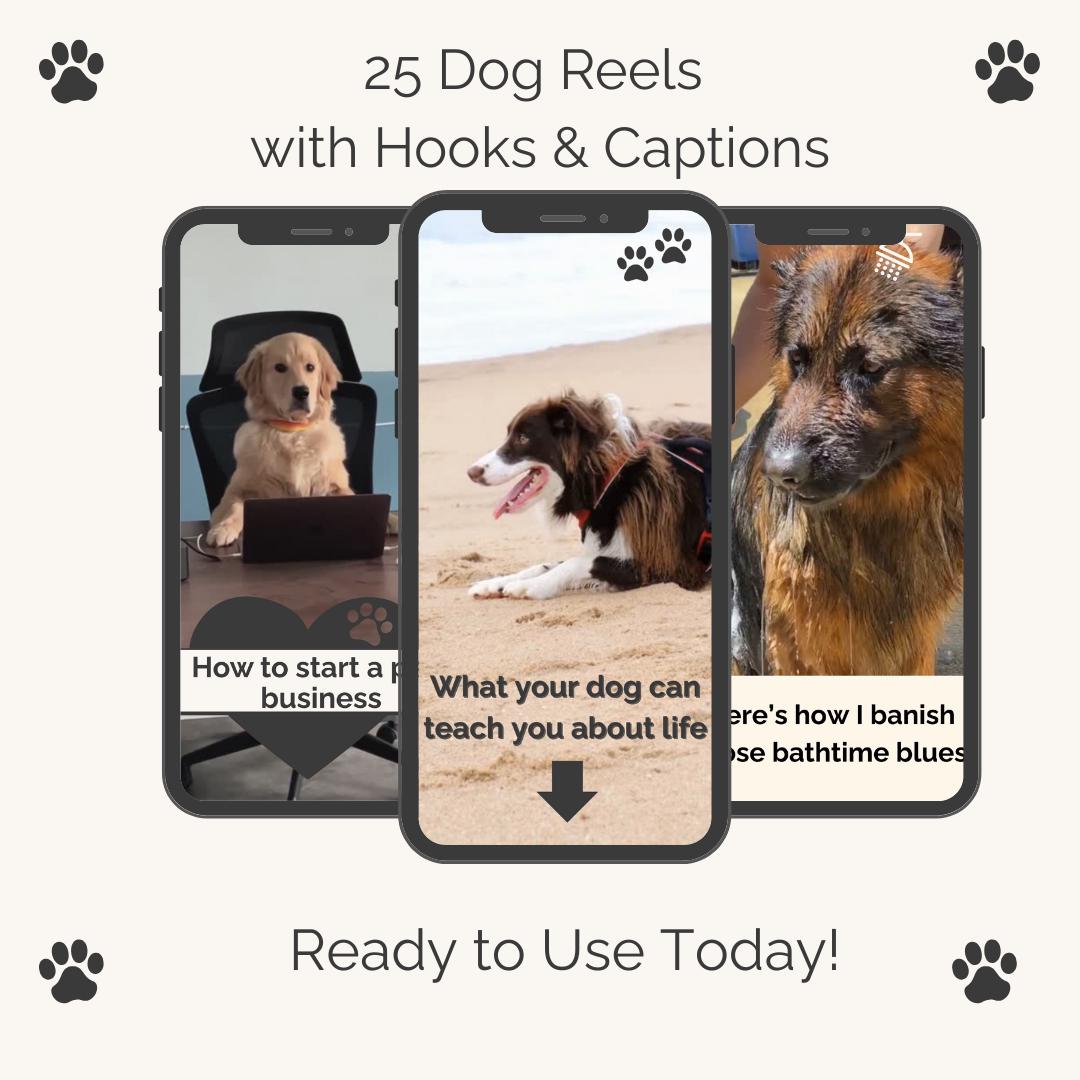 Dogs With Captions UK