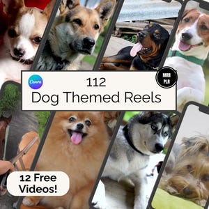 112 Dog-Themed Reels for Pet Lovers, Easy Canva Edits, PLR + MRR, Viral Pet Content for Instagram, TikTok, FB, YouTube, Instant Download