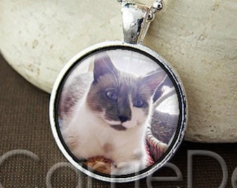 Custom Pet Photo Pendant, Cat Photo Necklace, Dog Photo Pendant, Pet Memorial Keepsake